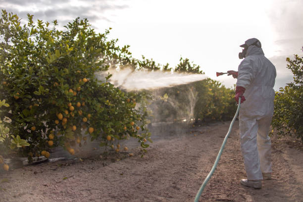 Best Pest Control for Homes  in Genesee, ID