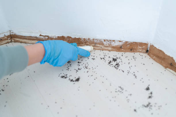 Best Bed Bug Extermination  in Genesee, ID