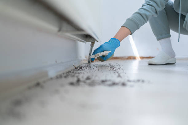 Wasp Removal Services in Genesee, ID